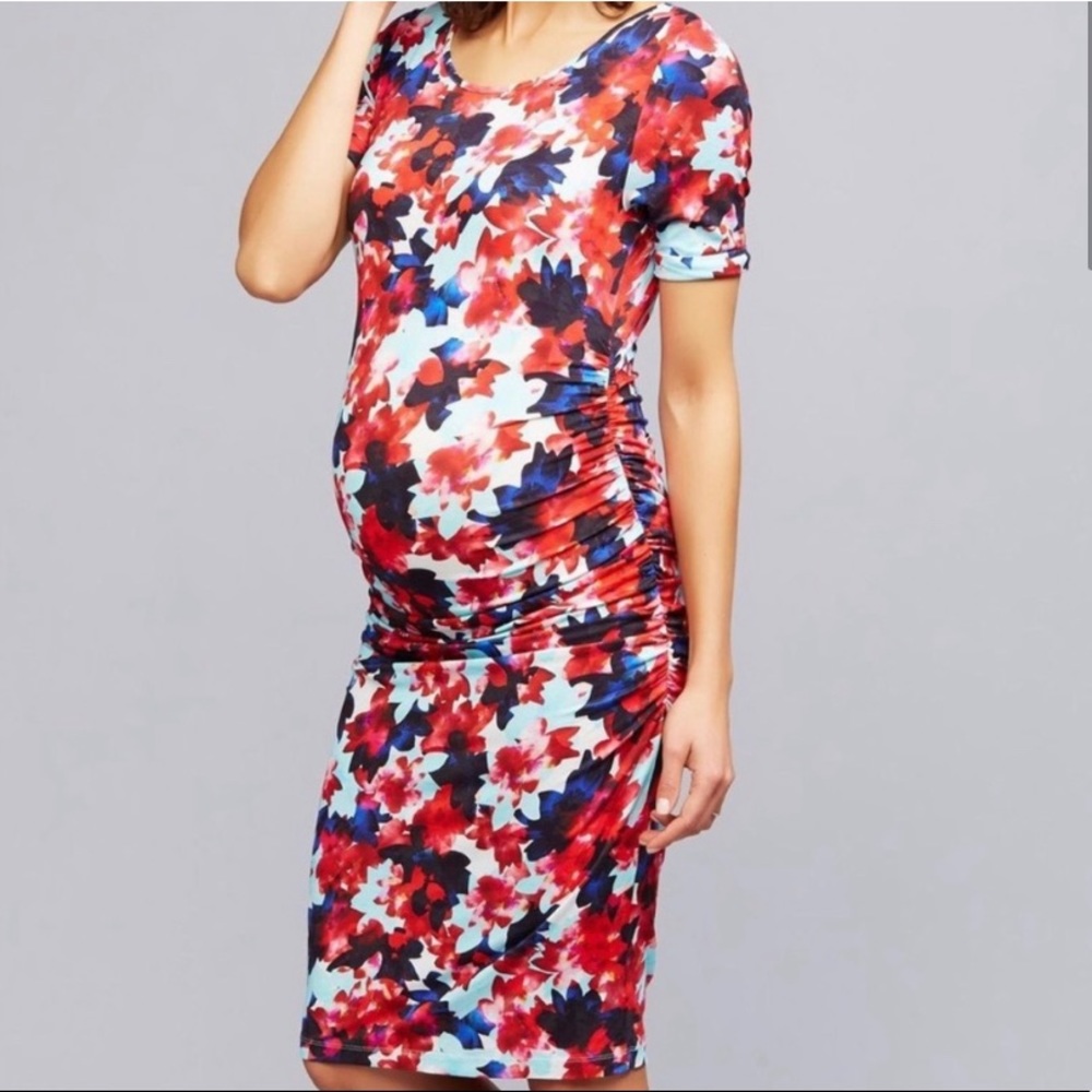 Isabella Oliver Maternity Dress - floral red/blue